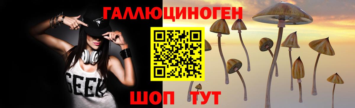 Псилоцибиновые грибы Cubensis Шадринск
