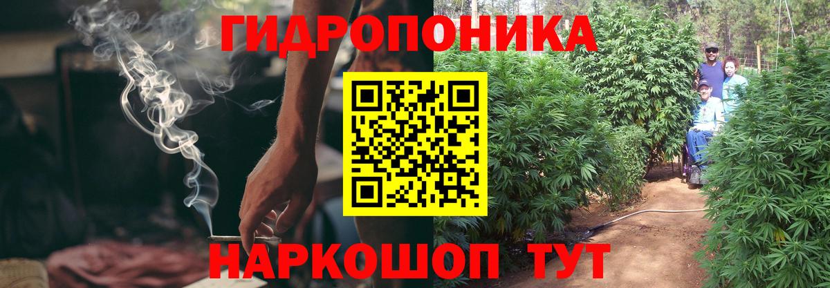 Шишки марихуана семена  Вход с VPN  Бошки Шишки ГИДРОПОН  Бошки марихуана тримм  Каннабис VHQ  Шадринск 
